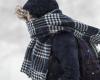 Cold and snow returning to Quebec to stay