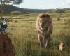 Was Disney’s live action Lion King, by Jon Favreau, filmed on real locations?