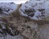 Gigantic rock fall on Monte Rosa