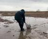 200,000 tonnes of sand contaminated: the oil spill in Russia and Crimea continues to spread along the coast