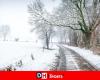 Weather: up to 20 centimeters of snow in Haute Ardenne until Saturday, before a temporary mild spell, “but it’s only temporary, the snow will return”