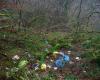 why cleaning up a wild dump will have to wait