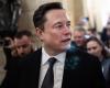 Elon Musk calls for release of British identity activist