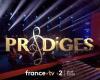 “Prodigies”: the final this evening on France 2, who will be the winner? (January 2, 2025)