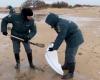 The oil spill in Russia and Crimea continues to spread: News