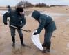 Oil spill in Russia and Crimea extends to Sevastopol