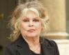 Regulation of the chamois in the Doubs: Brigitte Bardot again attacks hunters