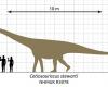 Discovery of the largest dinosaur track site in the United Kingdom – rts.ch