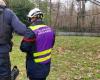 Drone, firefighters, police… searches around Pamiers after the discovery of a car in the Ariège river