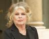 “I learn with horror that…” Brigitte Bardot speaks out to denounce a massacre