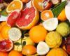 citrus exports expected to increase by 31% in 2024/2025