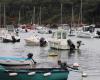 The body of a man recovered from a port in Finistère