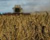 Global food prices fell slightly