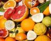 Citrus exports from Morocco growing strongly: +31% expected for the 2024/2025 campaign – VivAfrik