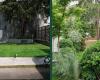 how a desolate garden in Paris became a dream of greenery