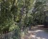 A couple from Vendée prevented from building their house because of the roots of their trees