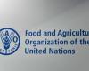 In 2024, global food prices will fall by 2% according to the FAO