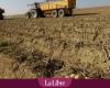 “We have to change the system if we want to continue growing potatoes in Belgium”