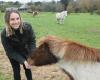 Loire-Atlantique: Marie heals with horses