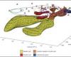 Yellowstone volcanic activity moving northeast, geologists say