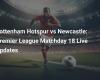 Tottenham Hotspur vs Newcastle: Premier League Matchday 18 Live Update