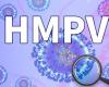 China sees rise in HMPV infections, but it’s not a ‘new virus’