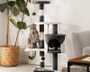 This cat tree benefits from a price that will surprise you on Amazon