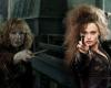 the death of Bellatrix Lestrange appears to us differently with this scene