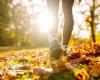 15 minutes in nature is enough to improve well-being