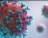 kmenkes says there are no reports of HMPV virus spreading in Indonesia