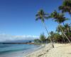 Are postcard beaches doomed to disappear in Guadeloupe?