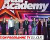 TV program: Star Academy, Lady and the Tramp… what to watch on TV this evening?