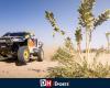 Dakar (Stage 1): Quintero (Toyota Overdrive) declared winner, Mévius 11th