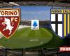 “Torino” vs. “Parma”: Match preview and prediction