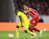 Ligue 1 – J16: Two major absentees among the Canaries for LOSC – FC Nantes