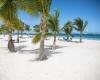 This winter, go to the Caribbean without blowing your budget – Actual Immo