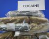 Two arrests after the seizure of more than 2 tonnes of cocaine at the port of Le Havre