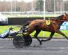 PMU – Arrival of the quinté on Sunday January 5 in Vincennes: Jack Tonic ensures