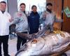 A 276 kg bluefin tuna sold for more than a million euros in Japan: “It is supposed to bring good fortune”