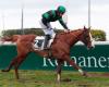 Christian de L’Hermite Prize: Lucky Nonantais, and Bande’s first black type obstacle success