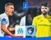 OM-HAC: probable compositions