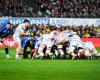 Top 14 – The notes of Vannes – Clermont: Baptiste Jauneau in the flow, Francis Saili in the vague…