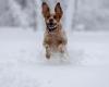 Severe snowstorm in eastern United States