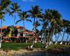 in Guadeloupe, the coconut trees doomed to disappear from the coast? – vert.eco