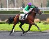 Lionheart at the rendezvous in the 2025 Prix d’Enghien at Vincennes