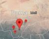 Mali: eight civilians found charred in the center of the country | APAnews