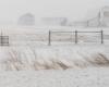 Severe snowstorm hits eastern United States