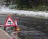 Return to normal after freezing rains: a heavy toll for the Côte-d’Or