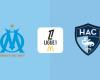 Le Havre: at what time and on which channel to watch the match live?