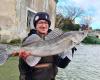 The Canal du Midi, a fishing hotspot in Aude, is preparing for its winter unemployment